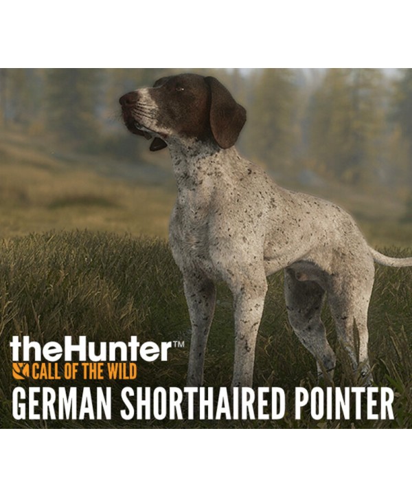theHunter: Call of the Wild - German Shorthaired Pointer DLC valid until March, 2027 Steam Key GLOBAL